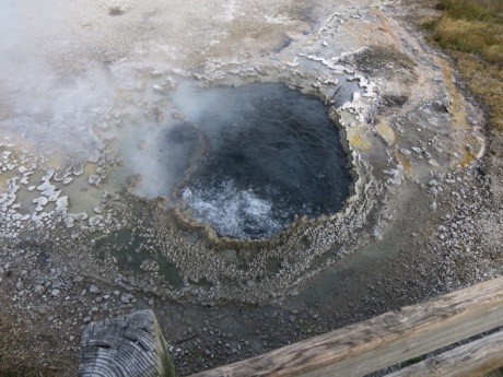 bubbling pool in Old Faithful basin
